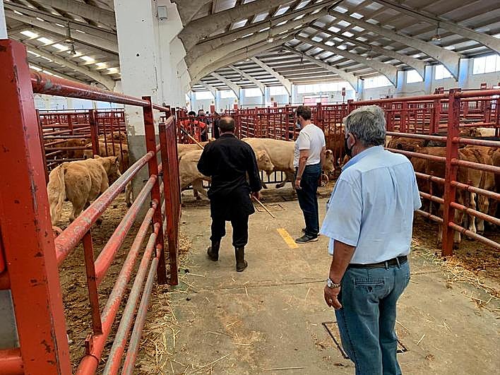 Último mercado de ganados celebrado el pasado 24.