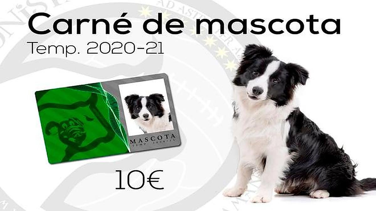 Carné de mascota del Unionistas.