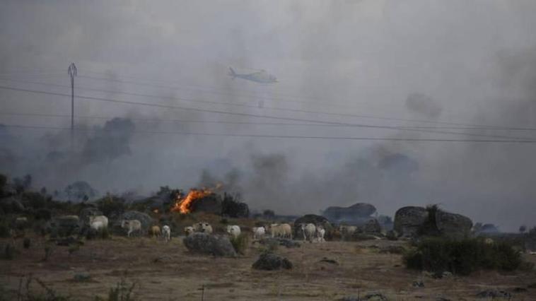 El grave incendio del Abadengo, apagado tras 20 largos días de labores de extinción