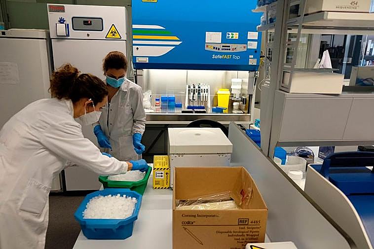 Momento del análisis de las PCR.