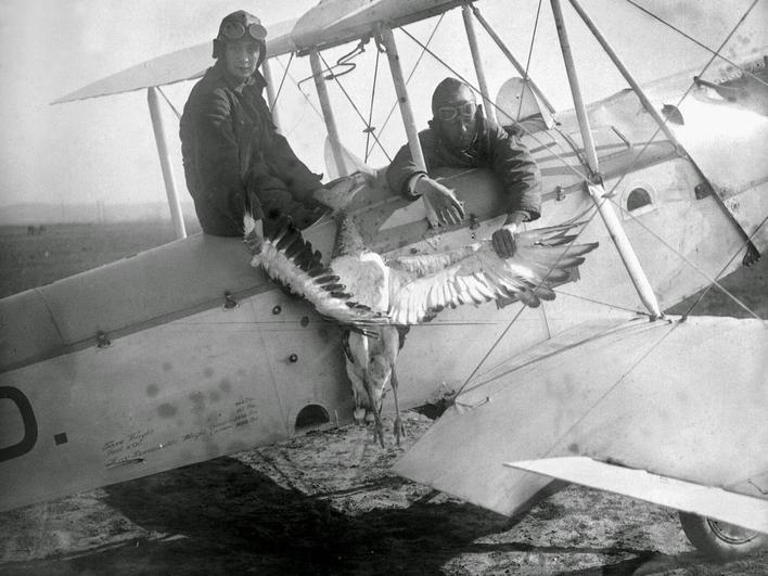 La primera piloto salmantina que vuelve a los cielos 100 años después
