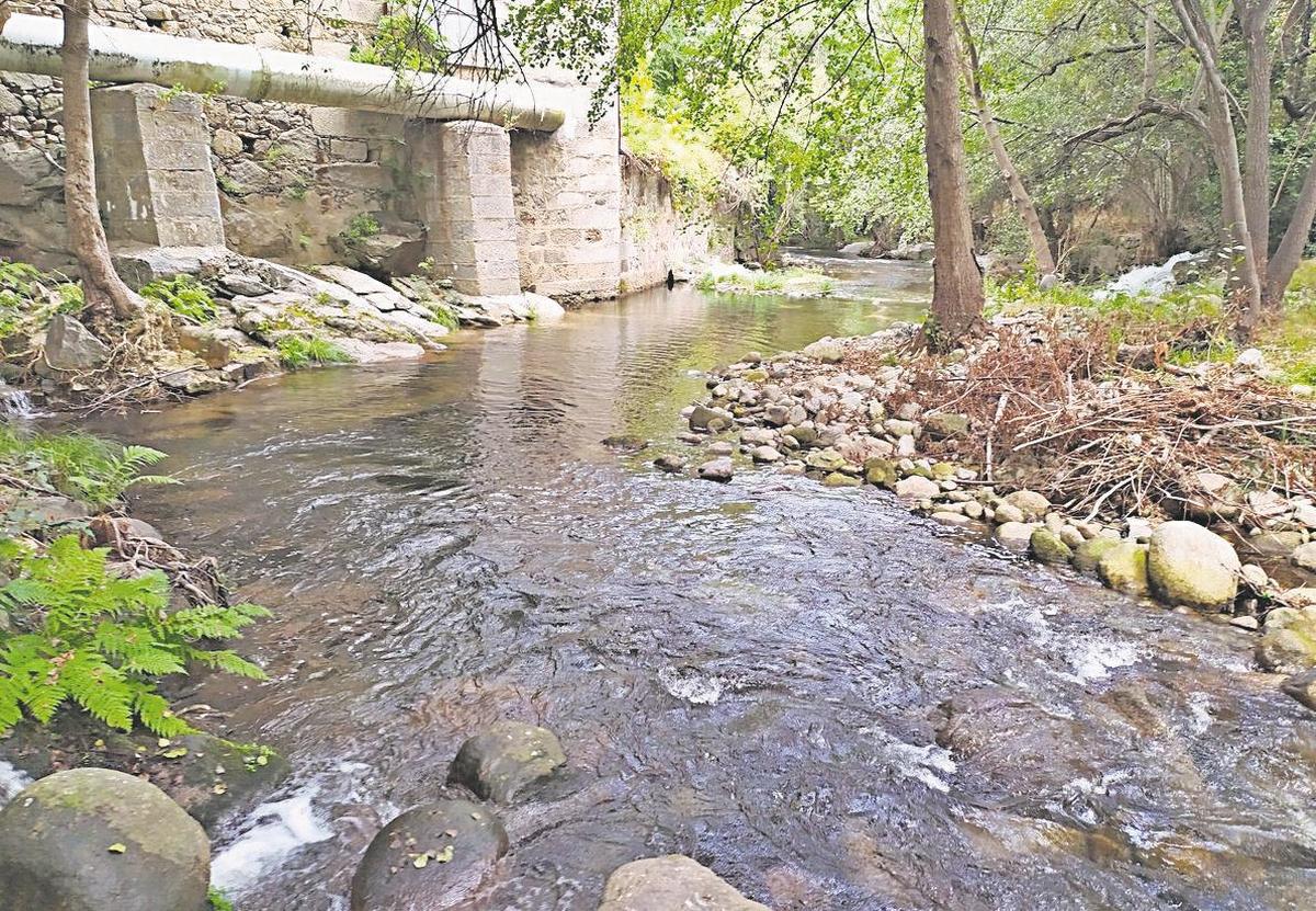 Zona de la Aliseda por la que tendría que transcurrir el paseo hacia la ruta de las fábricas textiles.