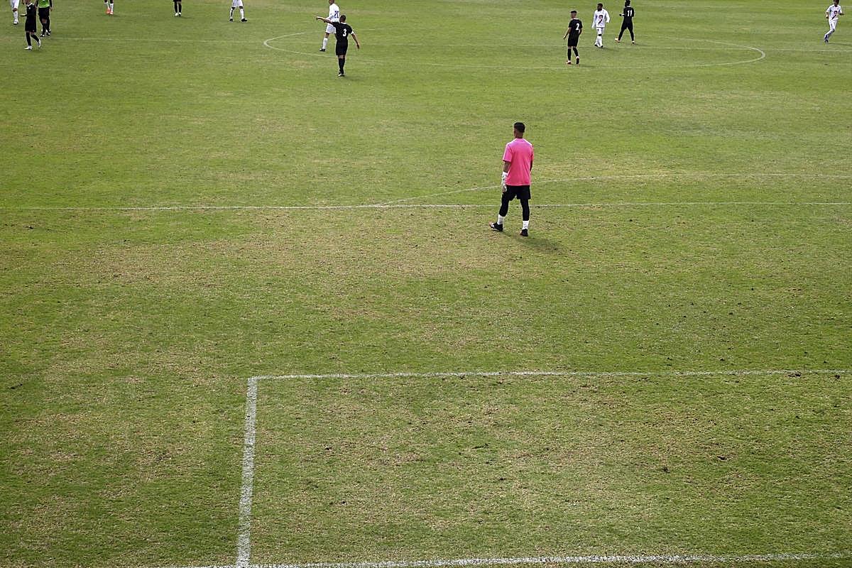 Aspecto del césped del Helmántico.