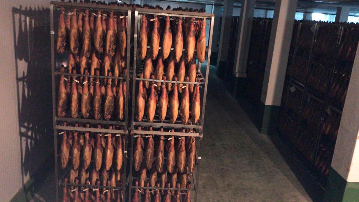 Jamones colgados en la bodega de una industria de Guijuelo.