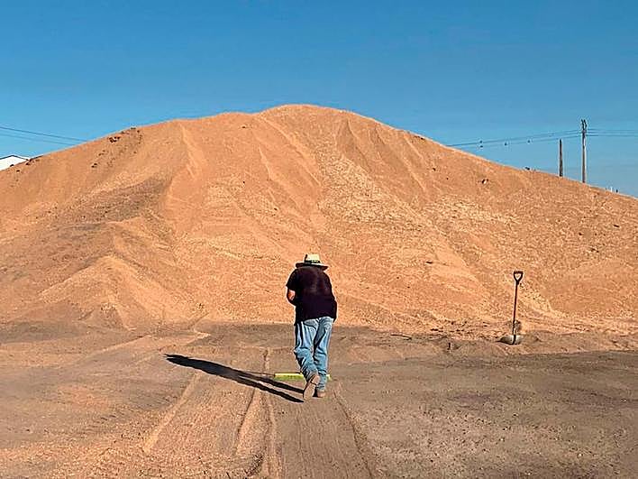 Cereal cosechado esta campaña en Salamanca.