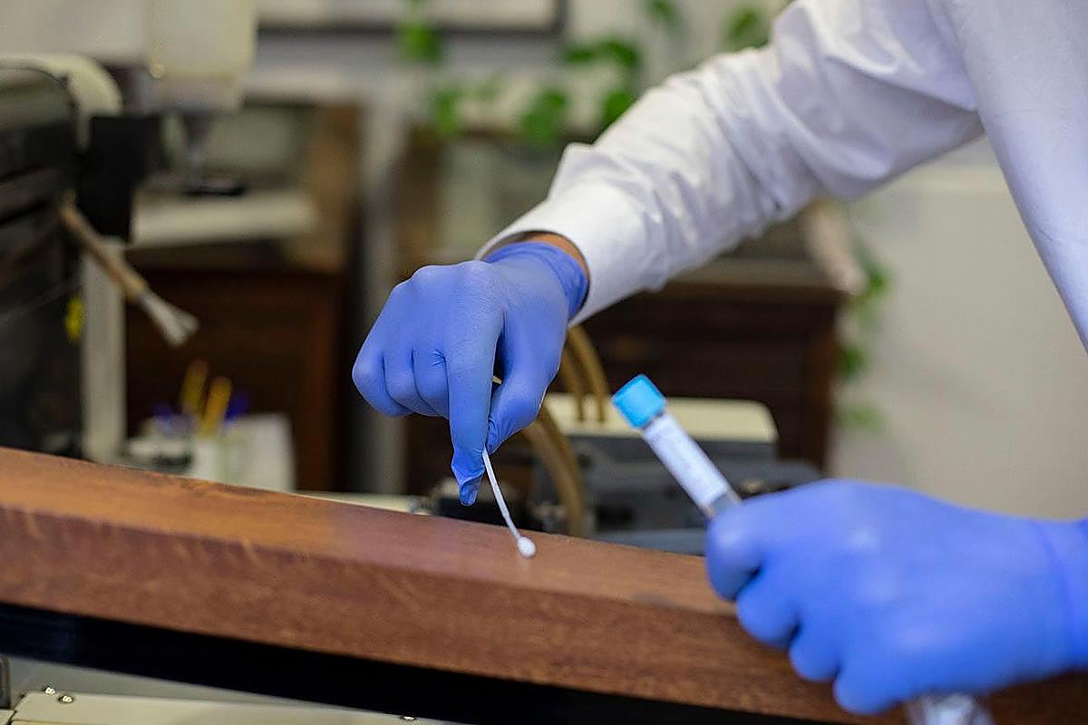 Preparación de la prueba PCR.