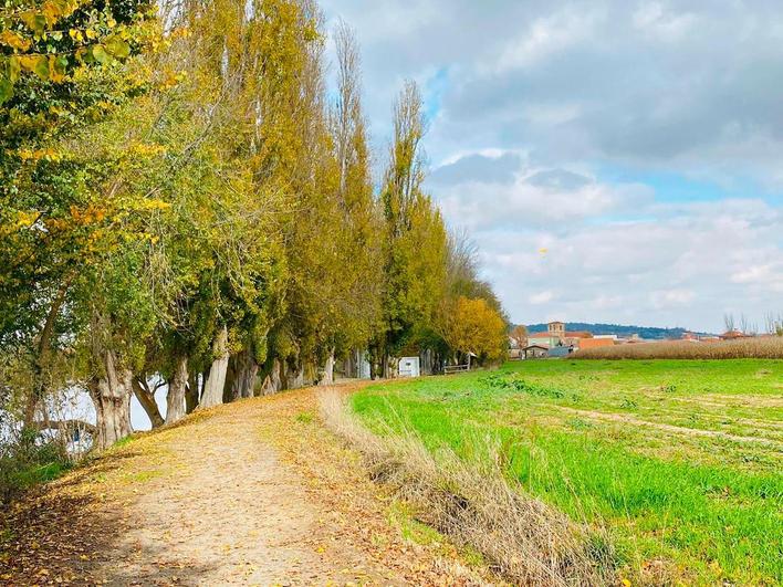 Camino de los Novios, junto al río Tormes, en la localidad de Huerta