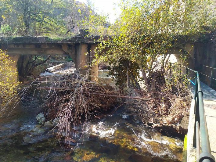 La maleza se amontona en el puente de la antigua fábrica de Téllez en la pesquera de los Capitanes con el riesgo que conlleva ante posibles crecidas.