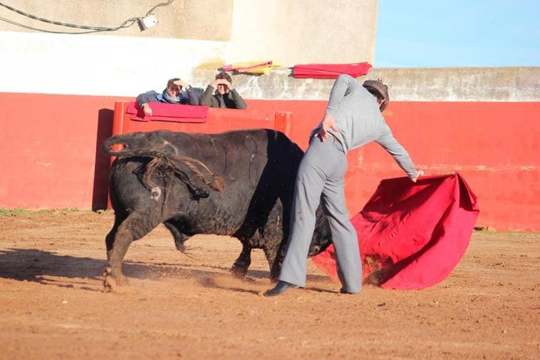 Largo y poderoso derechazo de López Chaves ante la poderosa y humillada embestida de Astifino, el primer toro de Sánchez Herrero.