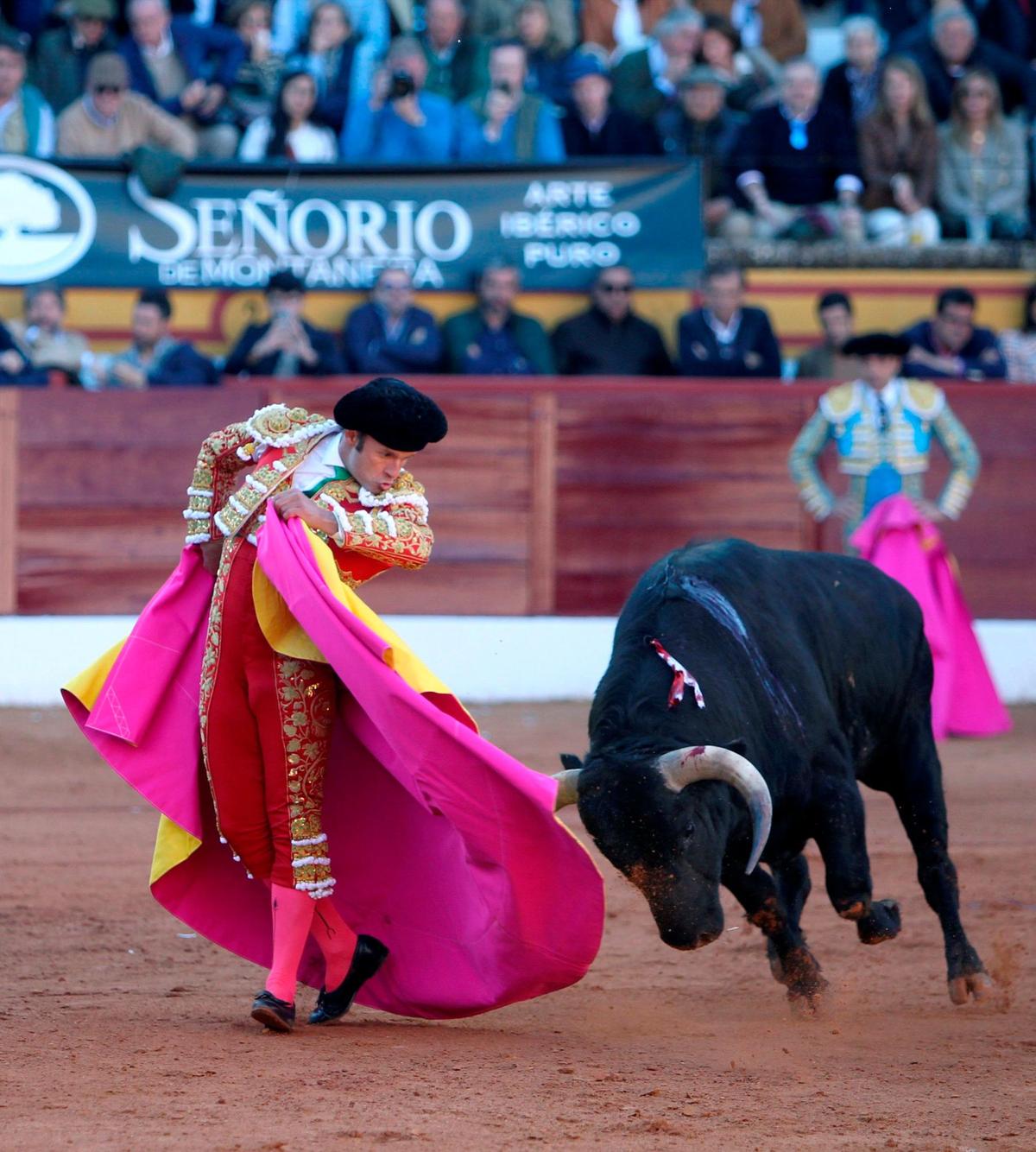 Antonio Ferrera en la lidia de un toro.