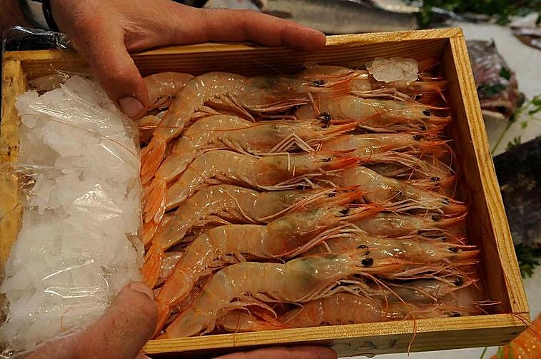 Gamba roja de Huelva.