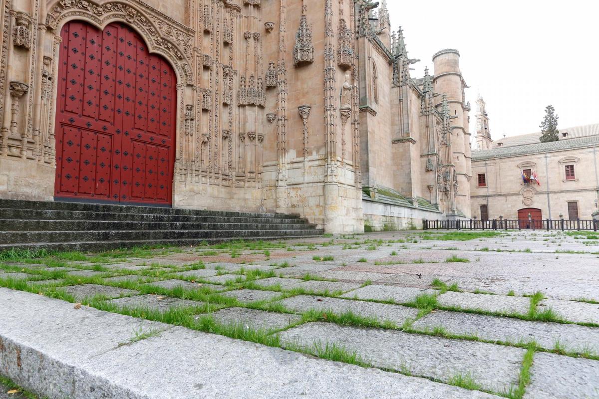 Situación actual del atrio de la Catedral, donde la hierba ya empieza a crecer, tres meses después de su desbroce.