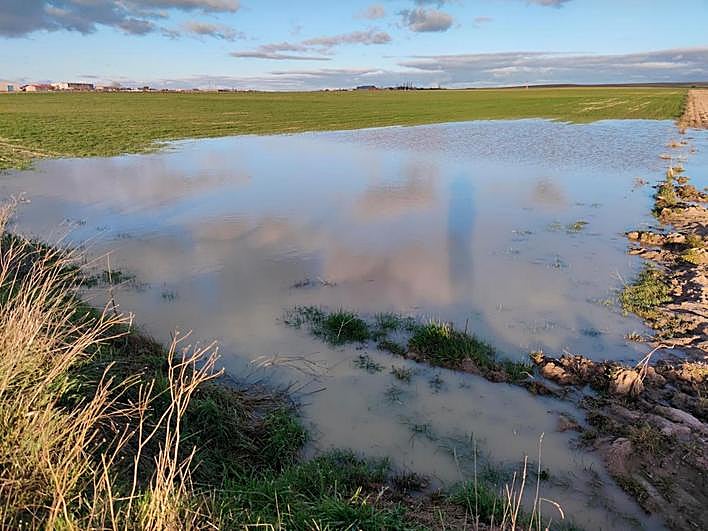 Tierras encharcadas en el término municipal de Peñaranda de Bracamonte.