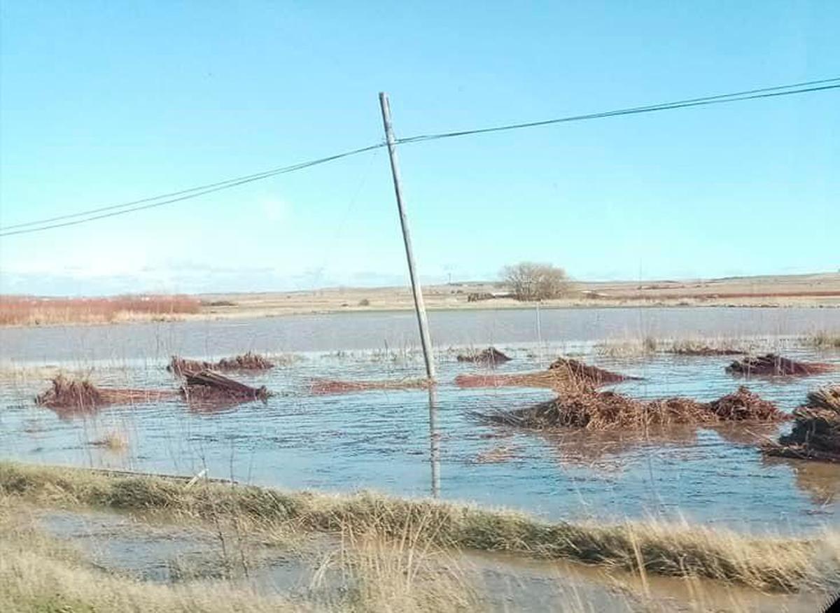 Haces de mimbre que estaban listos para llevar a los almacenes.