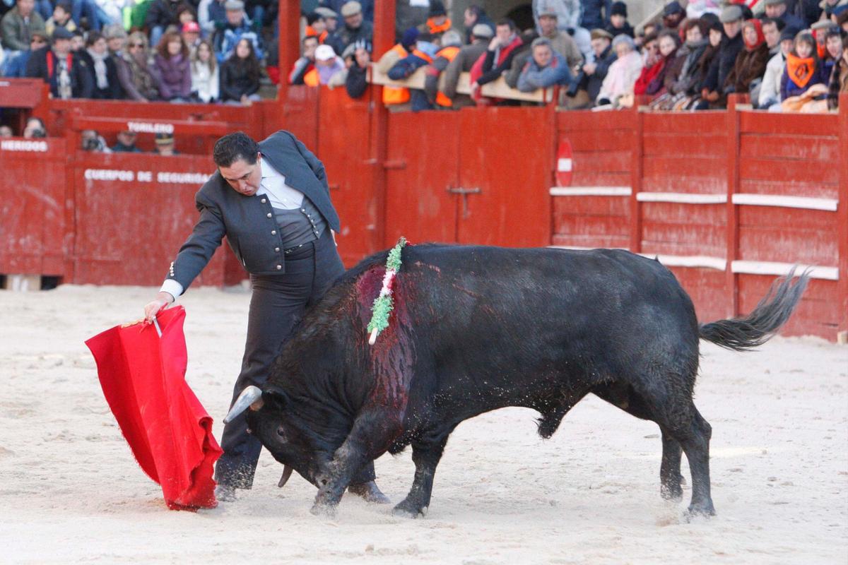 Derechazo de Tomás Campuzano al novillo de Pedrés (2010).