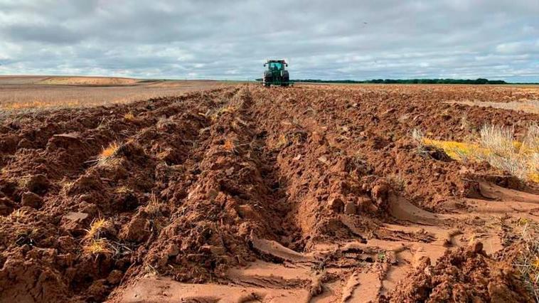 Preparación del terreno para la siembra con un tractor, maquinaria objeto de ayuda.