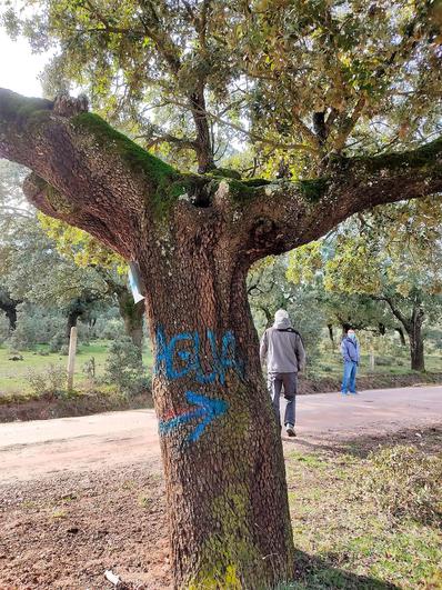 Usuarios de las rutas medioambientales y del geocaching en Terradillos.