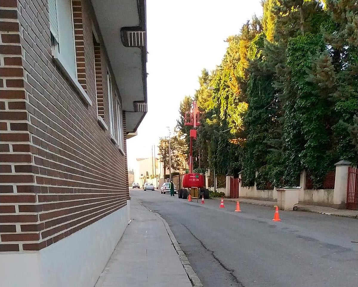 Tareas de poda de los arbustos en una propiedad privada de la calle Velázquez.