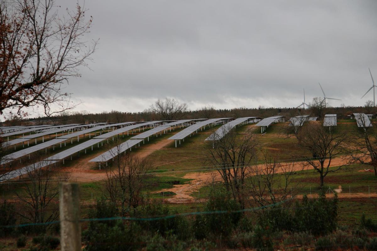 Paneles del mayor parque solar fotovoltaico de Salamanca, ubicado en Valdelosa.