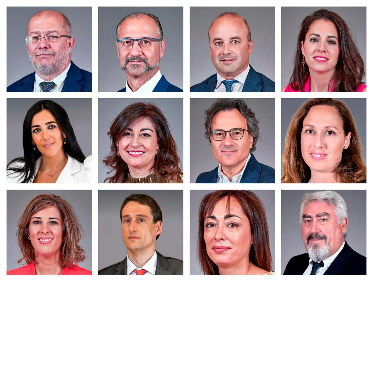 Los doce procuradores de Ciudadanos en Castilla y León
