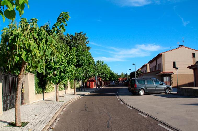 Monterrubio va a comenzar con el control de las plagas de palomas en la localidad.