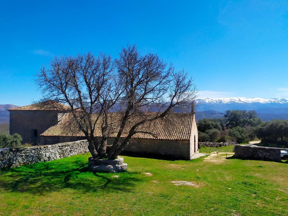 Imagen del moral, la ermita de la Virgen y la plaza de toros con la sierra nevada al fondo