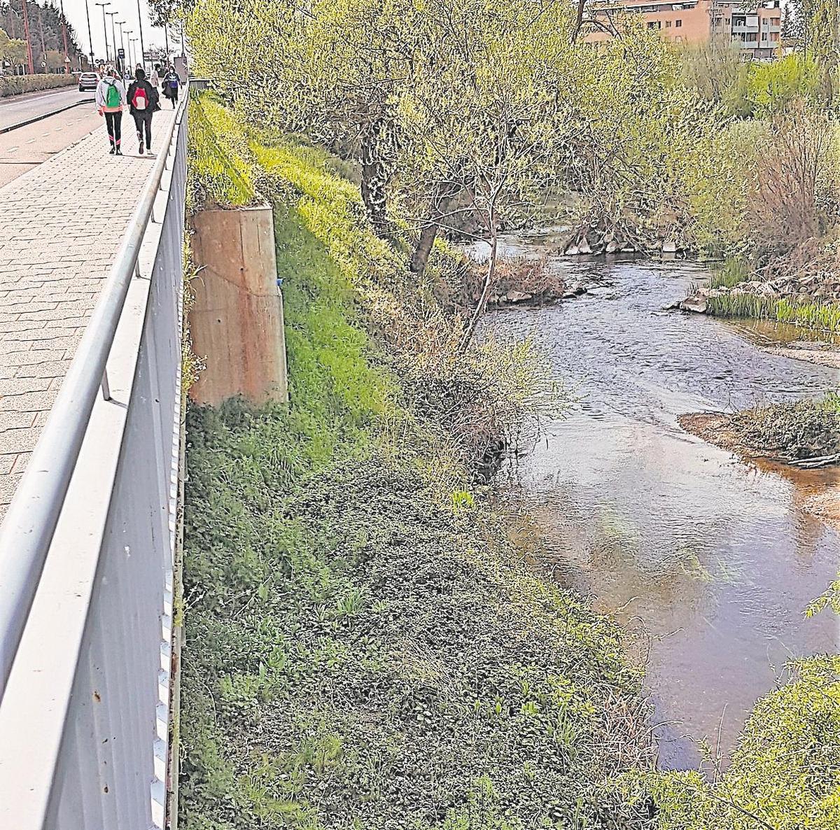 La zona conocida como “El Paraíso” en Santa Marta acogerá el nuevo paseo fluvial en la entrada del municipio