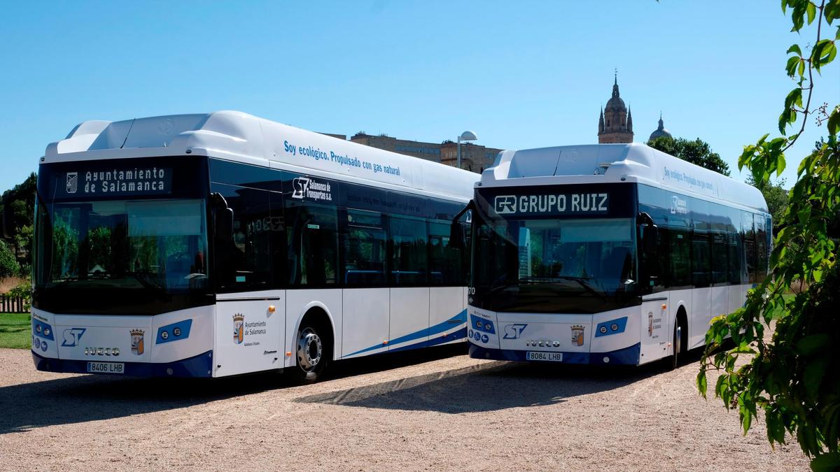 Salamanca de Transportes incorporó nuevos vehículos al servicio de los viajeros de Salamanca el pasado verano