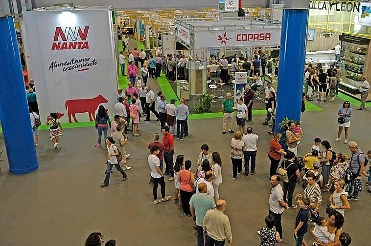 Imagen del pabellón central en Salamaq 2019, último certamen que se celebró.