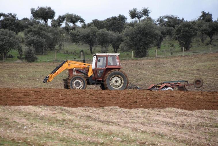 Un agricultor prepara las tierras con su tractor