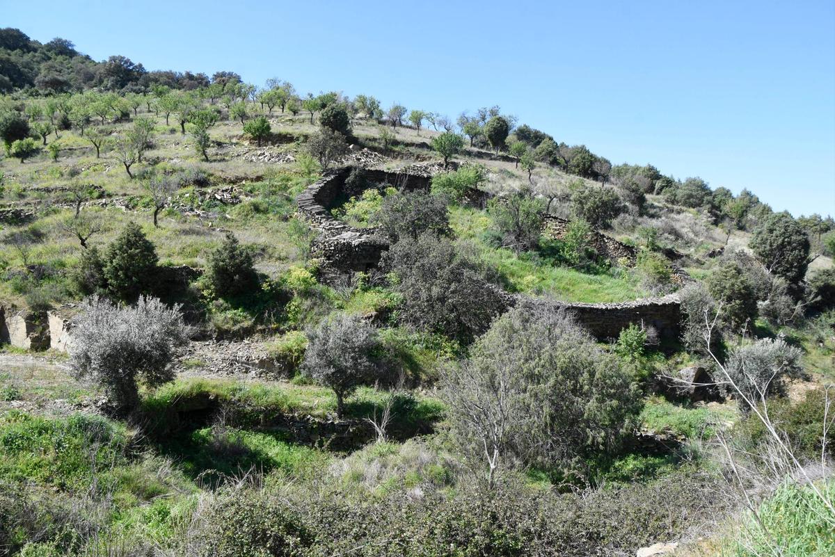 Uno de los chozos próximos a La Fregeneda levantado junto a un corral de ganado realizado en piedra seca.