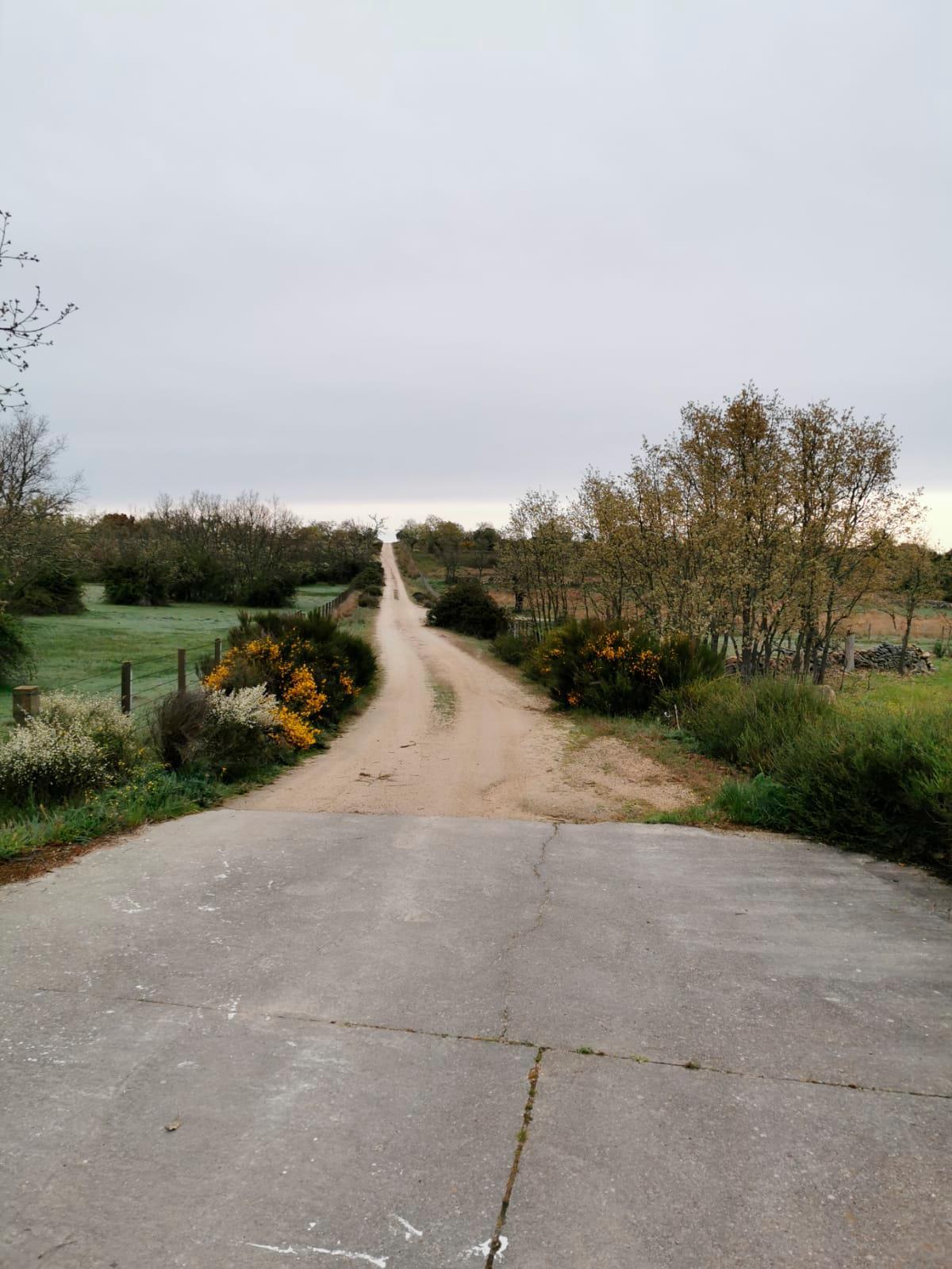 Camino municipal de Almendra.