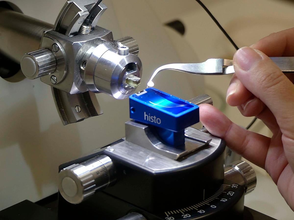 La técnico Jennifer Sánchez obtiene cortes ultrafinos de la muestra con la cuchilla de diamante del ultramicrotomo. | GUZÓN