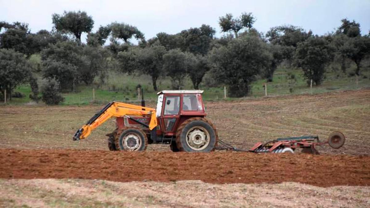 Un agricultor prepara las tierras con su tractor