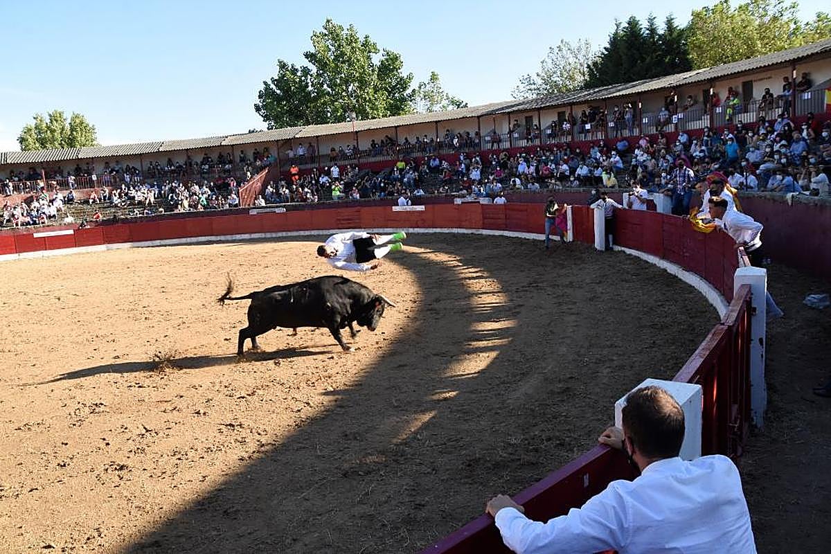 El concurso de recortes goyesco devuelve la pasión taurina a Vitigudino ...