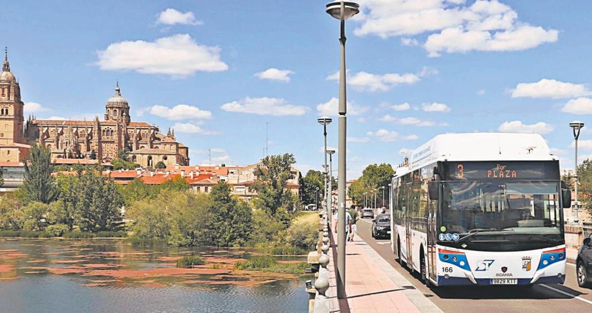 Un autobús de la flota cruzando el puente Enrique Estevan. | ARCHIVO