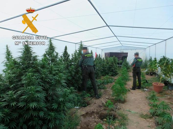 Agentes de la Guardia Civil en una plantación de marihuana de una operación anterior.