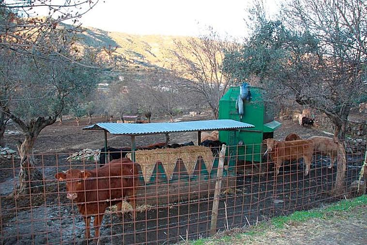 Cebadero de terneros en la localidad salmantina de Valdelamatanza.