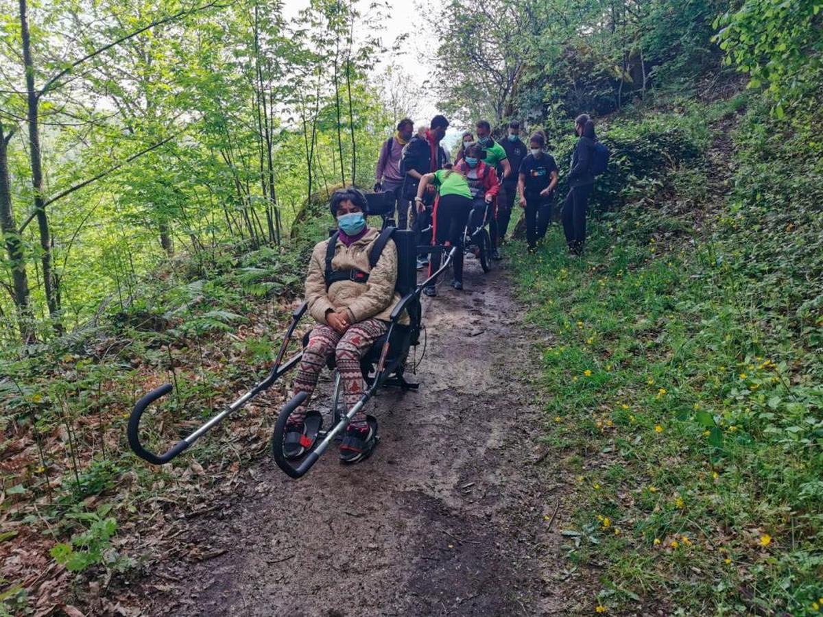 Imagen de la ruta micológica realizada dentro de uno de los cursos entre Montemayor del Río y El Cerro.