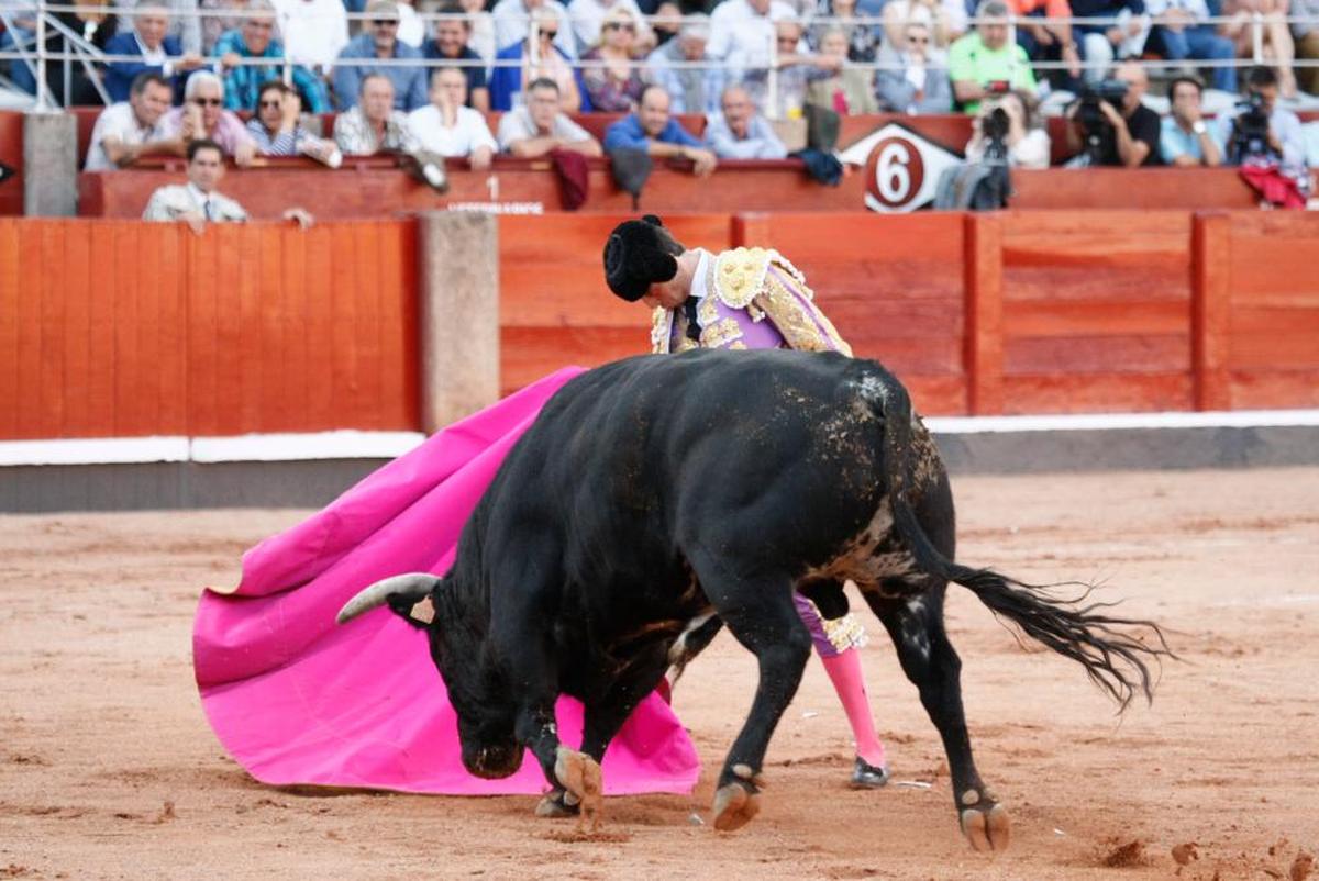 Larga de Alejandro Marcos, en una imagen de archivo de la última Feria de Salamanca.