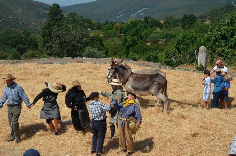 “Día de la Trilla” de 2019 en la localidad de Monsagro.