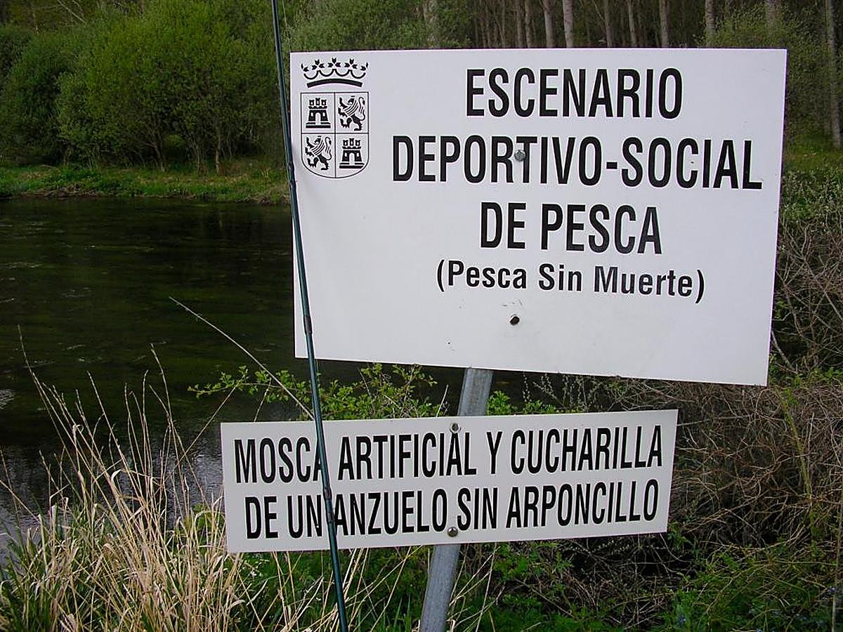 Tablilla anunciando la pesca sin muerte en un tramo de un río.