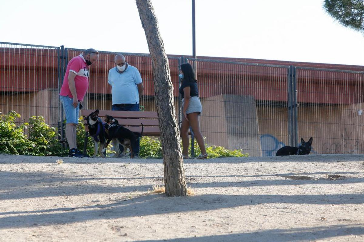 Varios propietarios, con sus mascotas, en una zona de esparcimiento para perros de la ciudad.