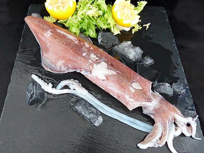 Imagen de un calamar.