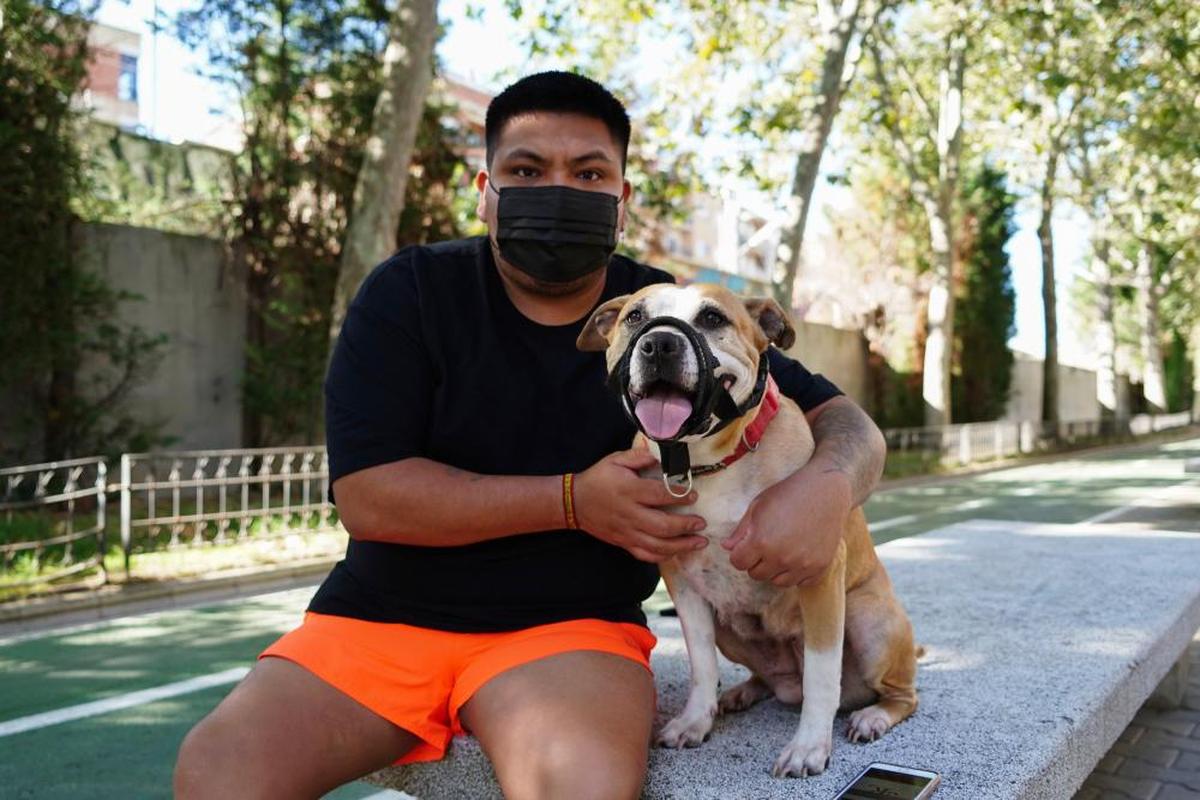 Saúl Rodríguez y su mascota Kira, una hembra American Pitbull.