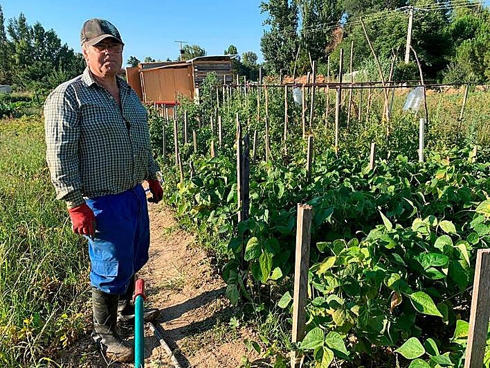 José María junto a las judías y tomates.