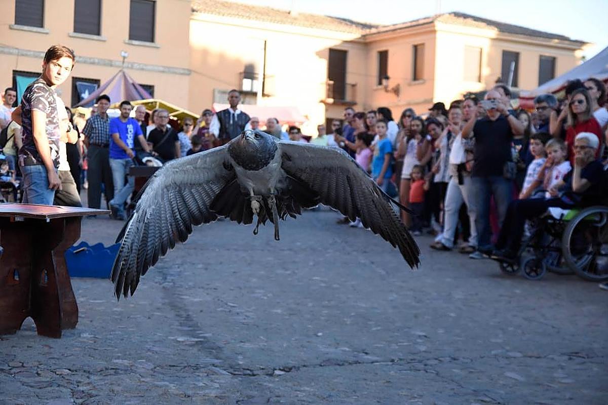 Las “Águilas de Valporquero” animarán la Feria de Vitigudino.