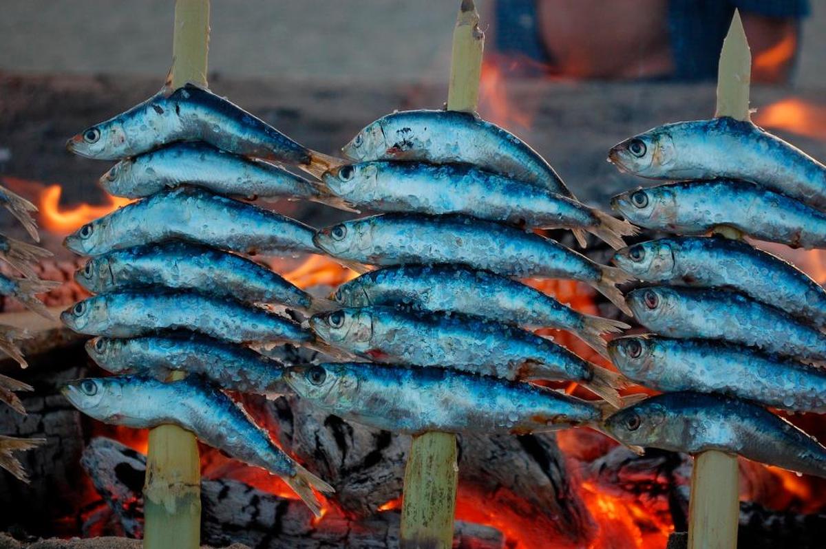 Los maestros espeteros de la costa hacen que el sabor y el gusto exquisito de estas sardinas sean incomparables.