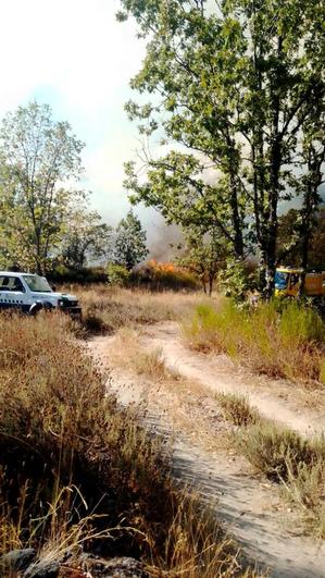 Concretamente, el fuego se ubica en la pedanía de Santa María de los Llanos.