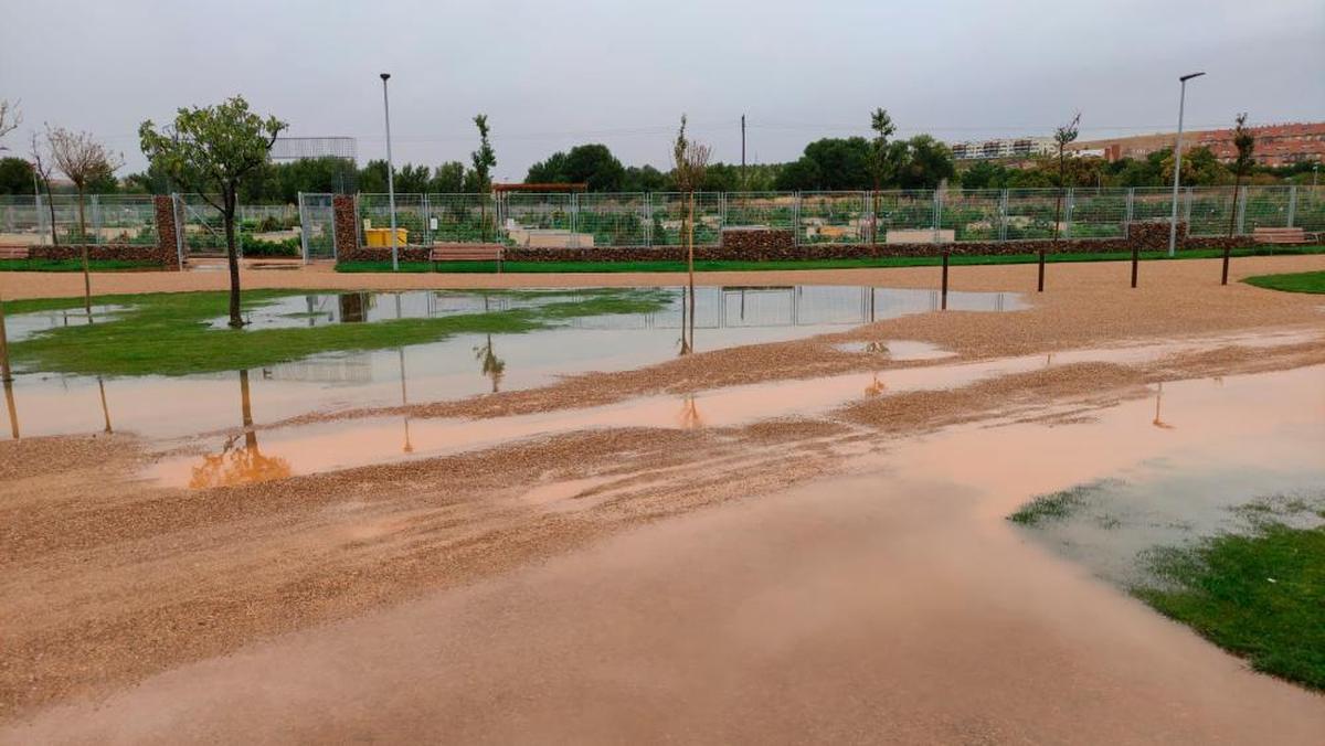 Acumulación de agua en los huertos urbanos.